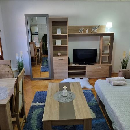 Family Apartmani Le ليسكوفاك الغرفة الصورة
