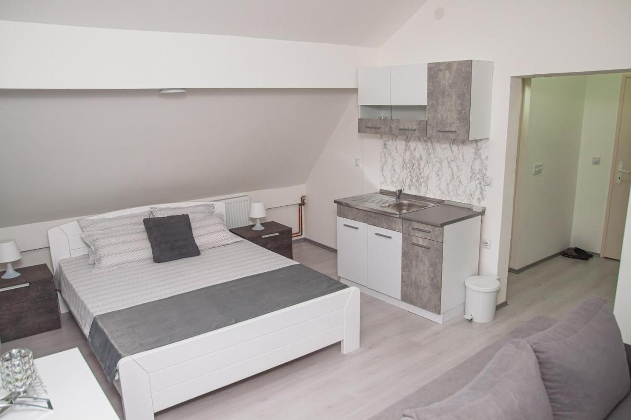 Family Apartmani Le ليسكوفاك المظهر الخارجي الصورة