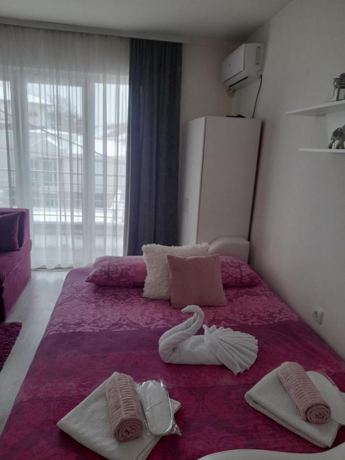 Family Apartmani Le ليسكوفاك المظهر الخارجي الصورة