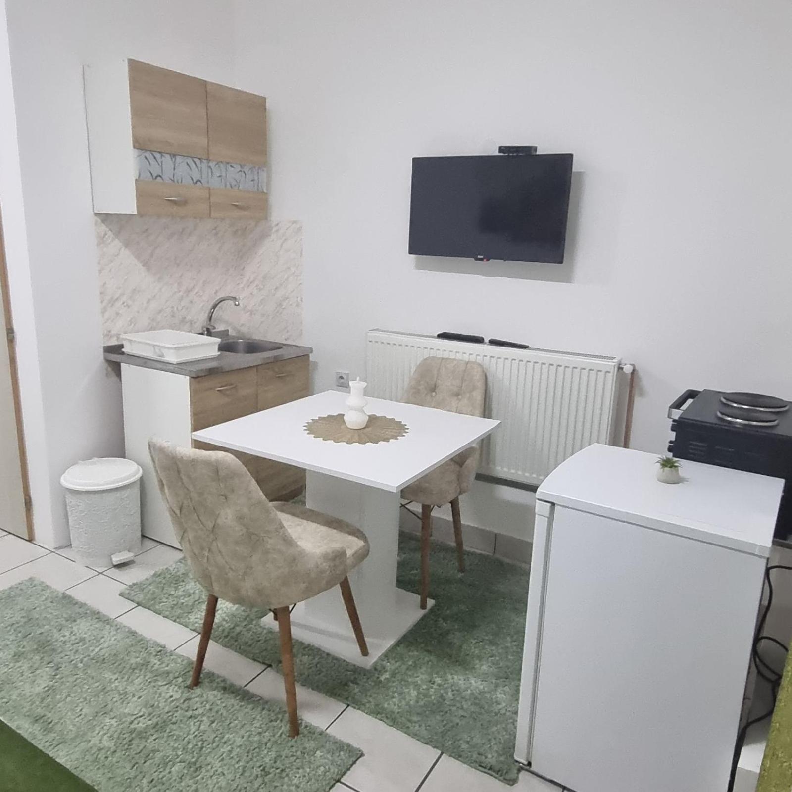 Family Apartmani Le ليسكوفاك المظهر الخارجي الصورة